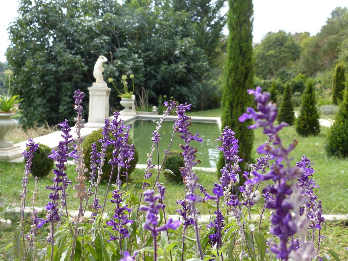 Chateau Du Grand Jardin 발랑솔 외부 사진